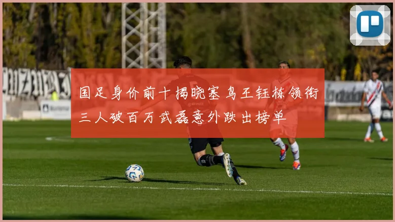 国足身价前十揭晓塞鸟王钰栋领衔三人破百万武磊意外跌出榜单